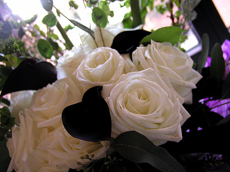 purty white roses