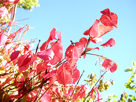 a little overexposed a little overexposed