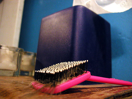 cat brush