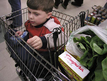 the little man, confined to grocery cart