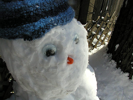 googly eyed snowfriend