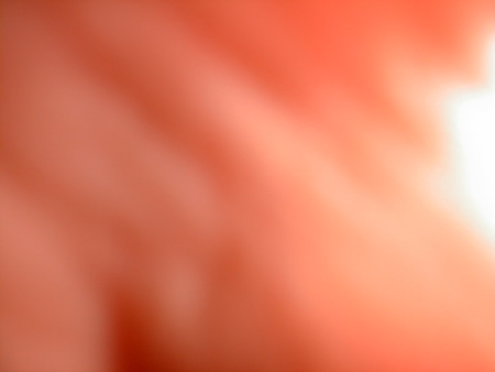 the little man's hand, as he rushed the camera the little man's hand, as he rushed the camera