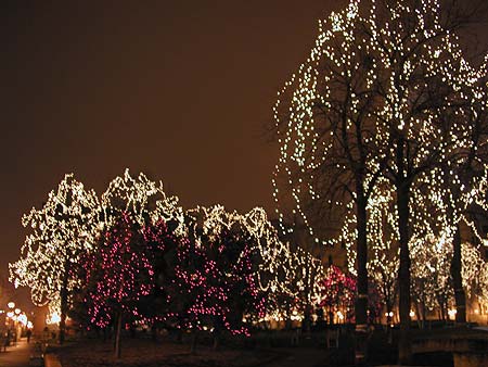 pretty lights in mears park