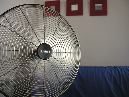 my biggest fan