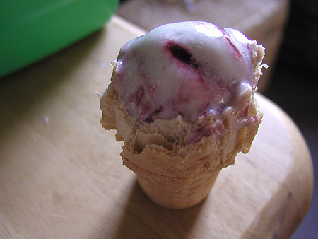 partially eaten ice cream cone