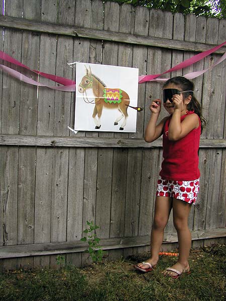 pin the tail on the donkey