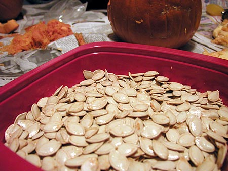 slimy punkin guts slimy punkin guts