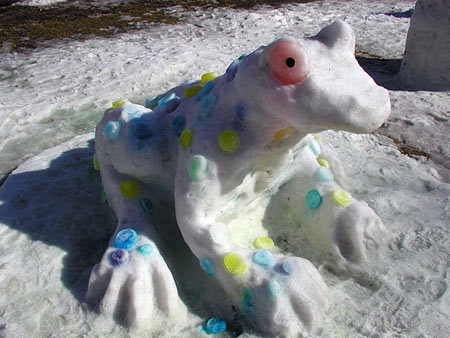 Snow Frog Snow Frog