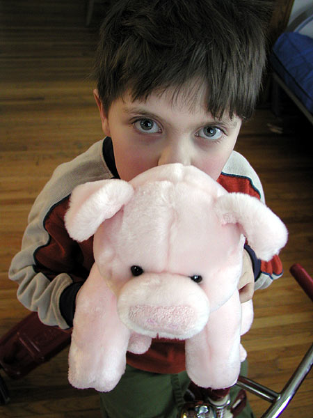 two pink little piggies two pink little piggies